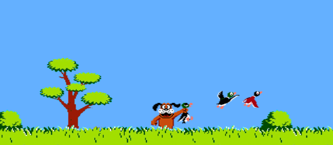 Duck Hunt